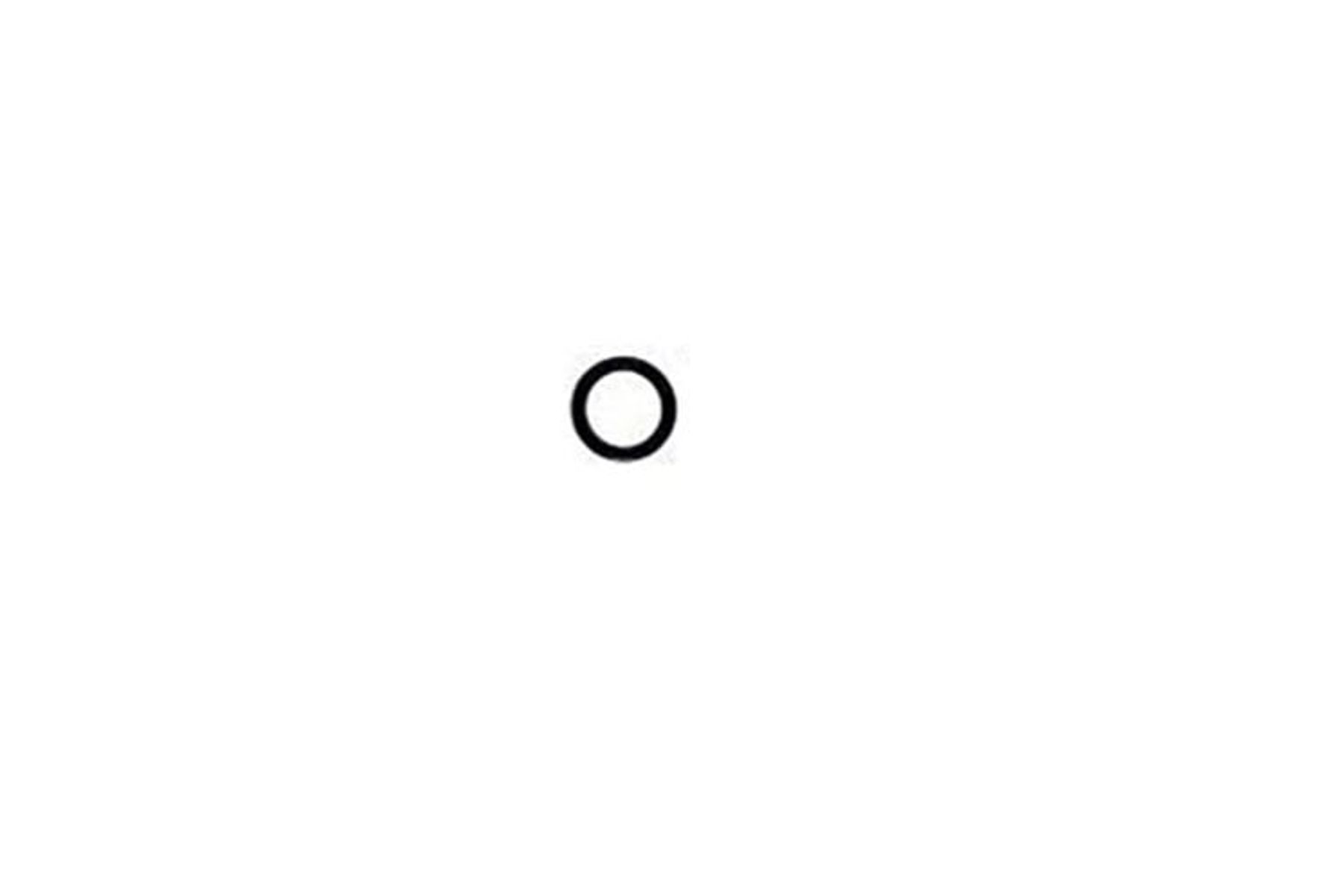 Small black O-ring on a white background