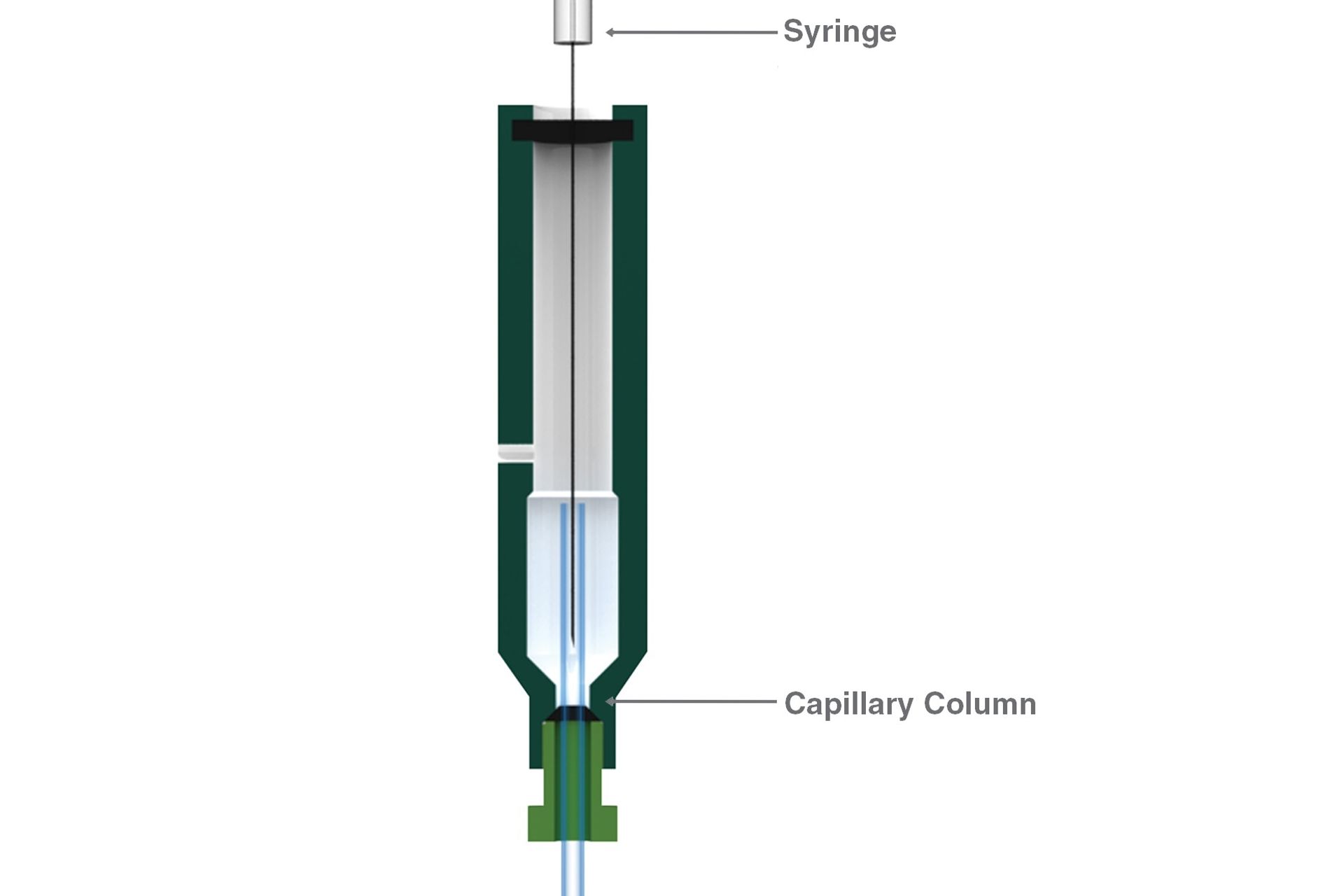 Syringe Gc Manual On Column Injection Vertical Aspectadjusted Drawing