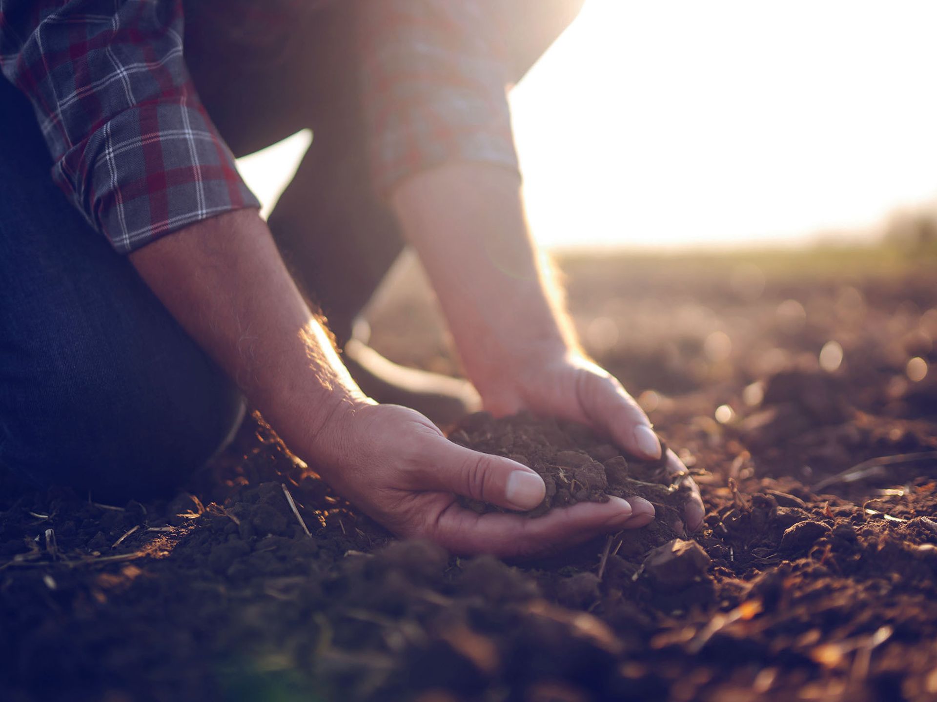 Agrieconomics
