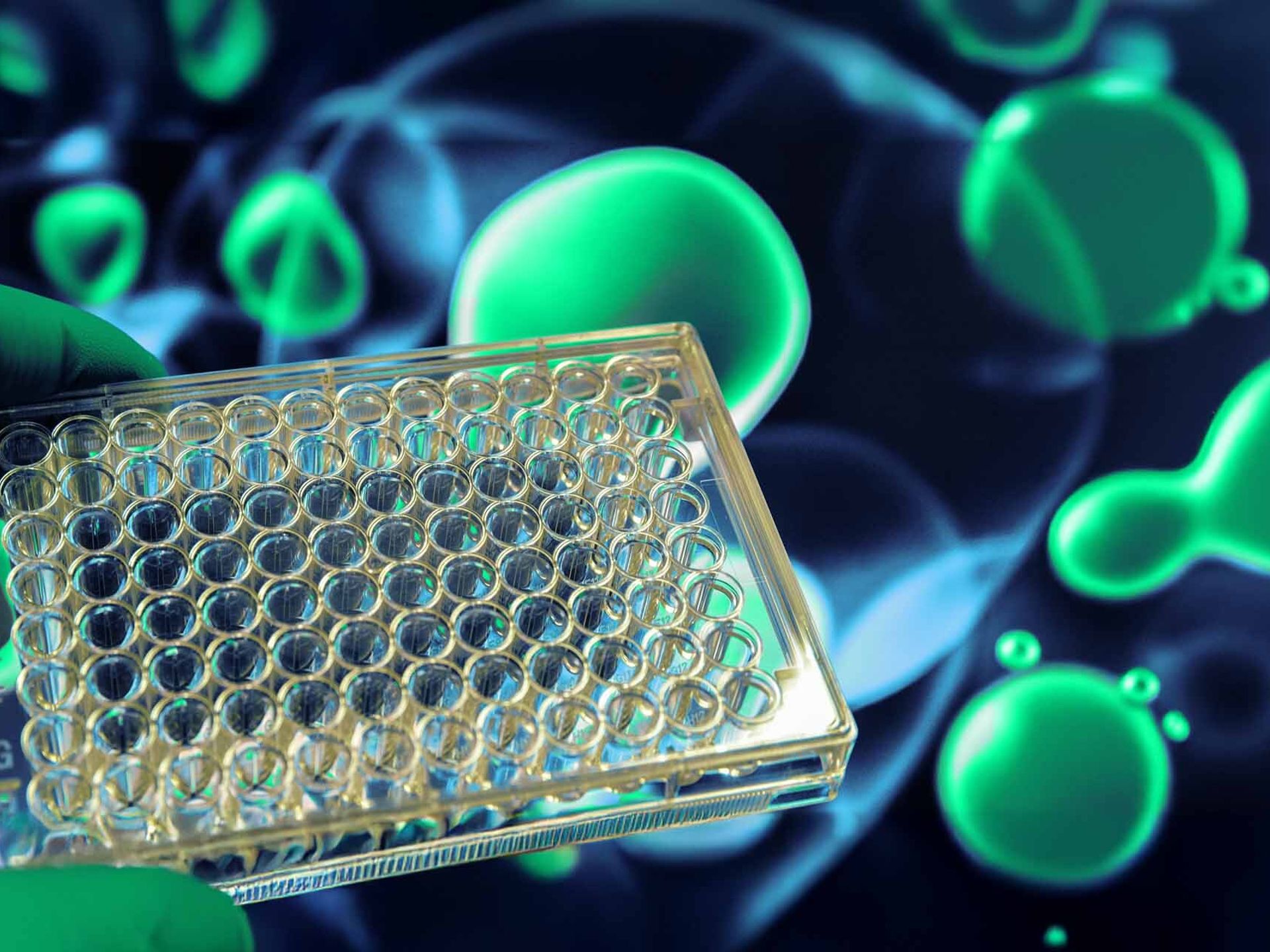 Cell viability assays