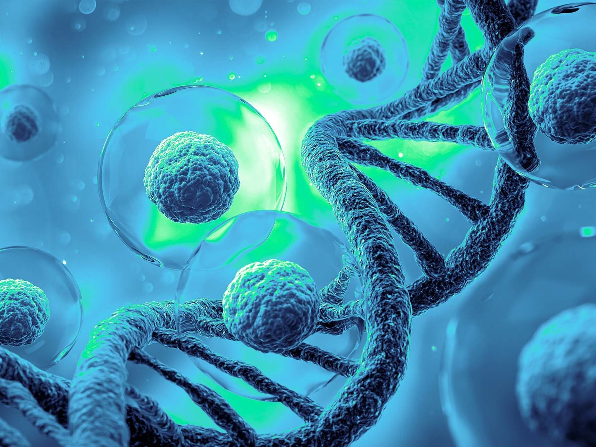 cell line development