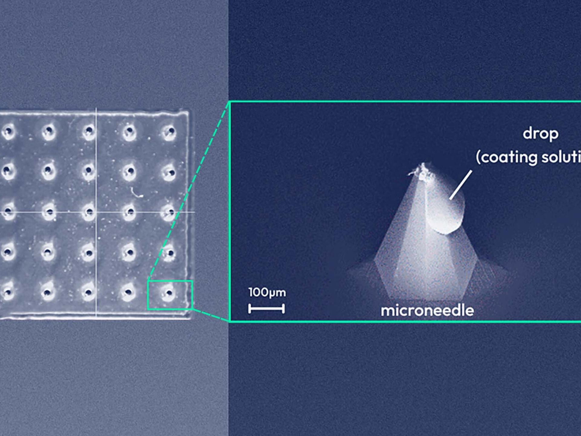 microneedles coating