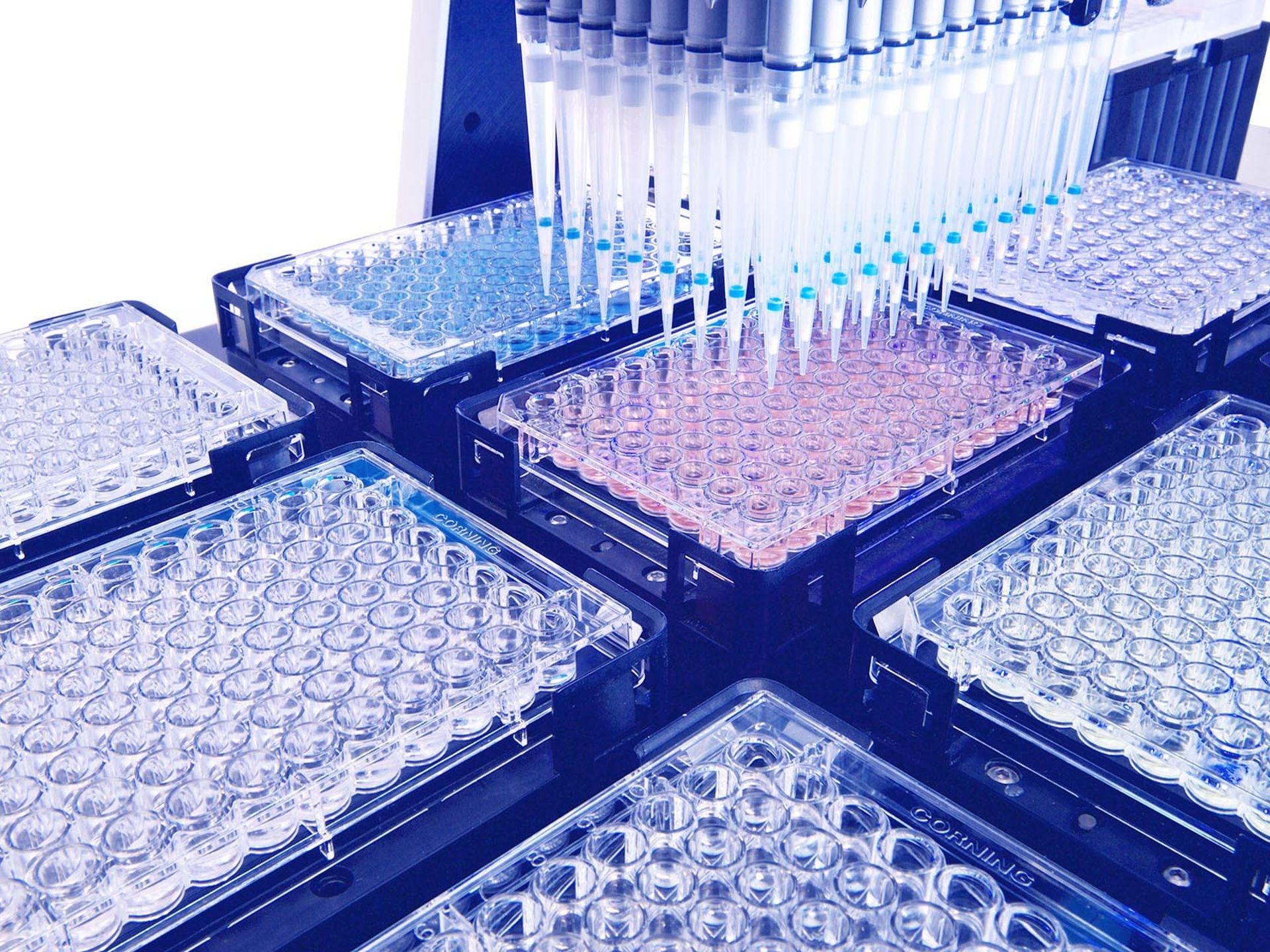 in tip chromatography