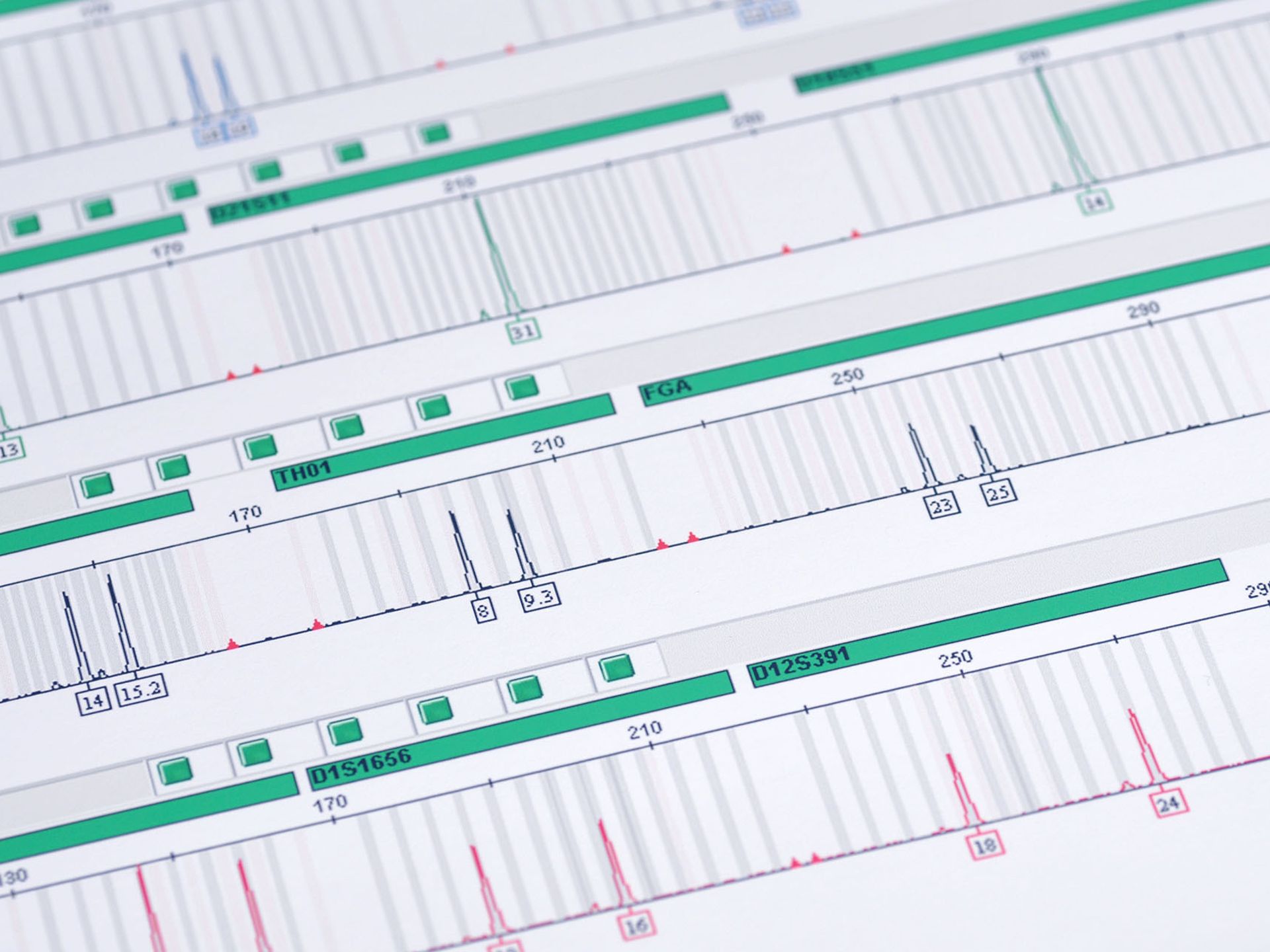 STR profiling