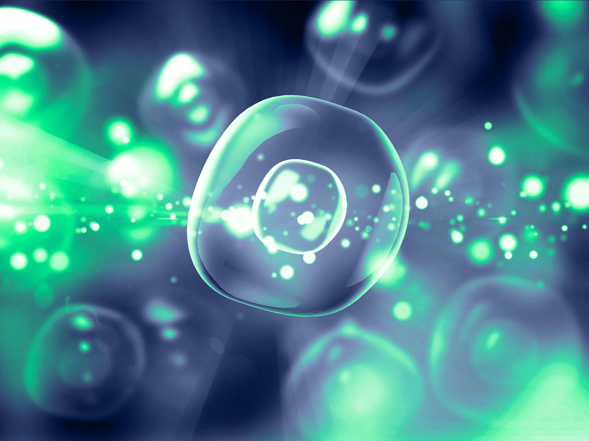 Single cell analysis