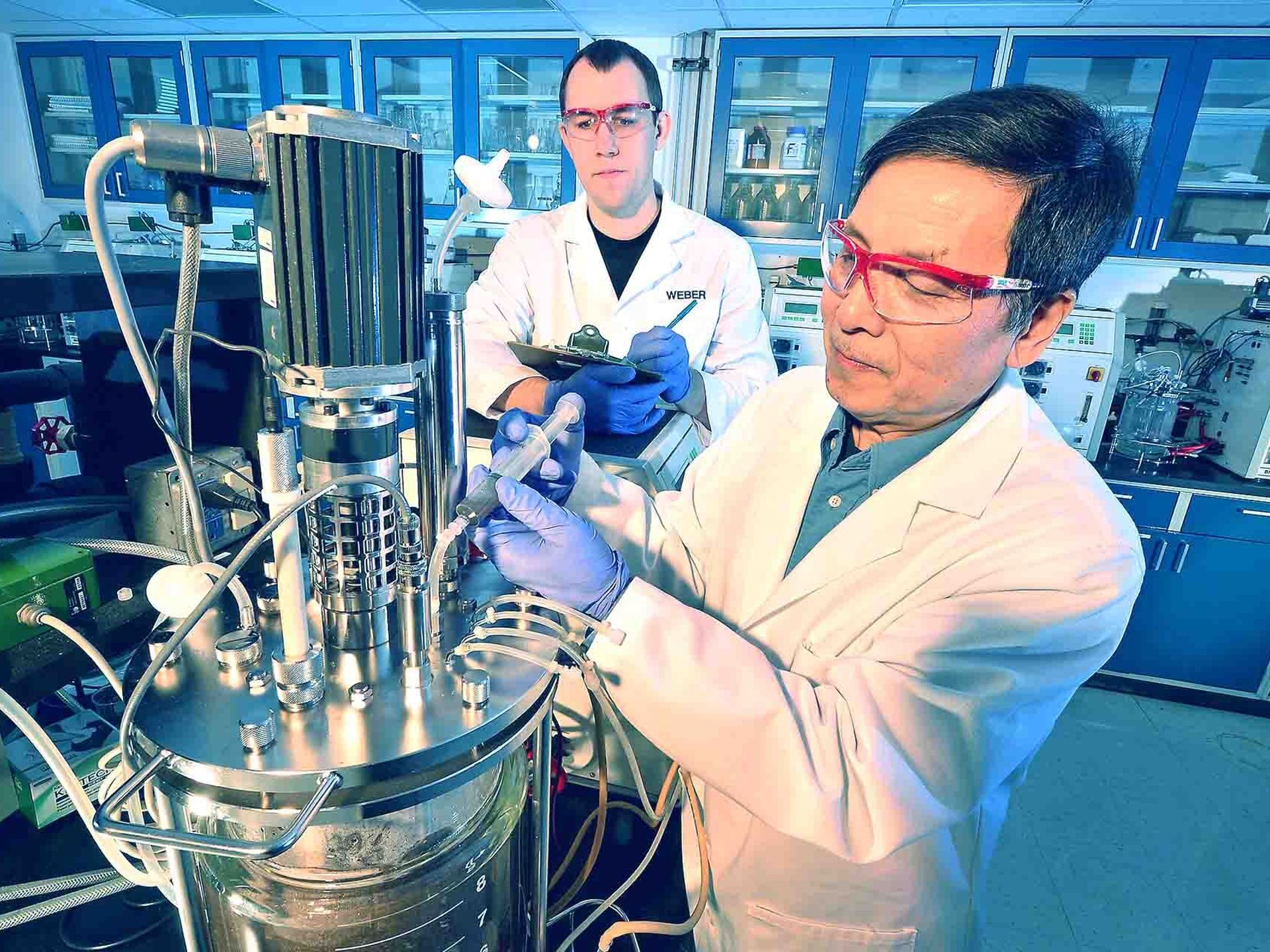 Bioreactor for small molecules
