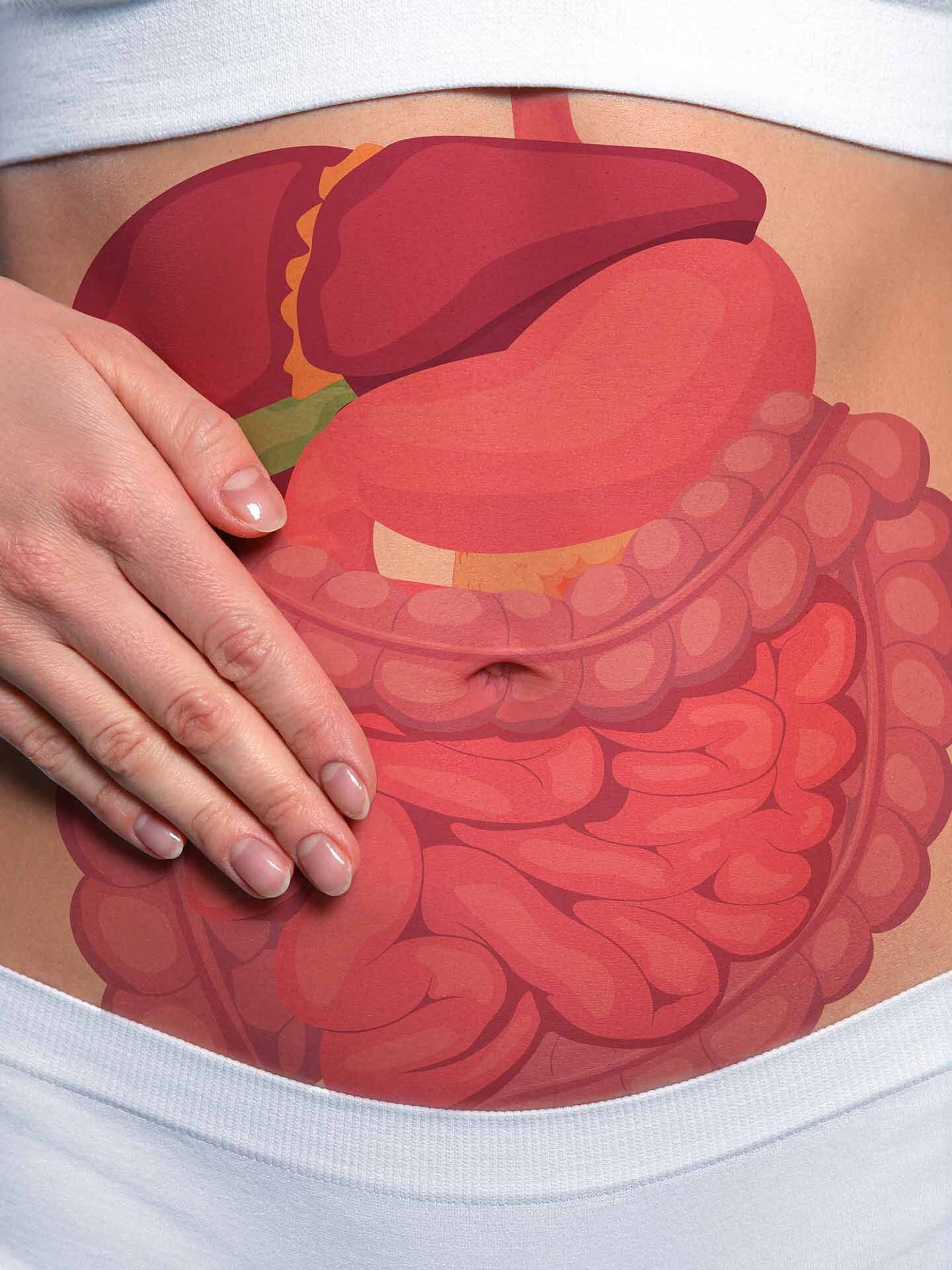 drug metabolism