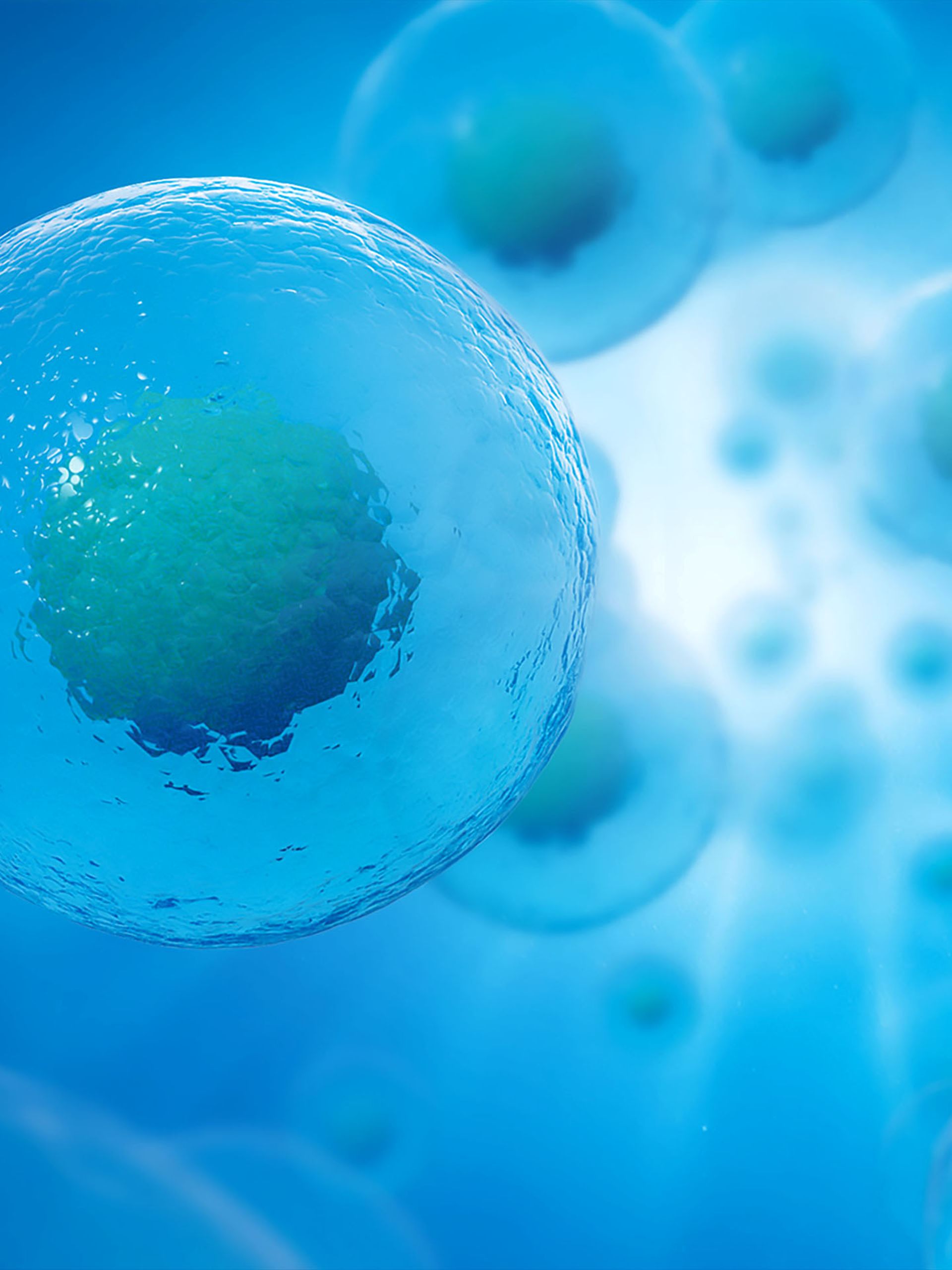 Cells close up