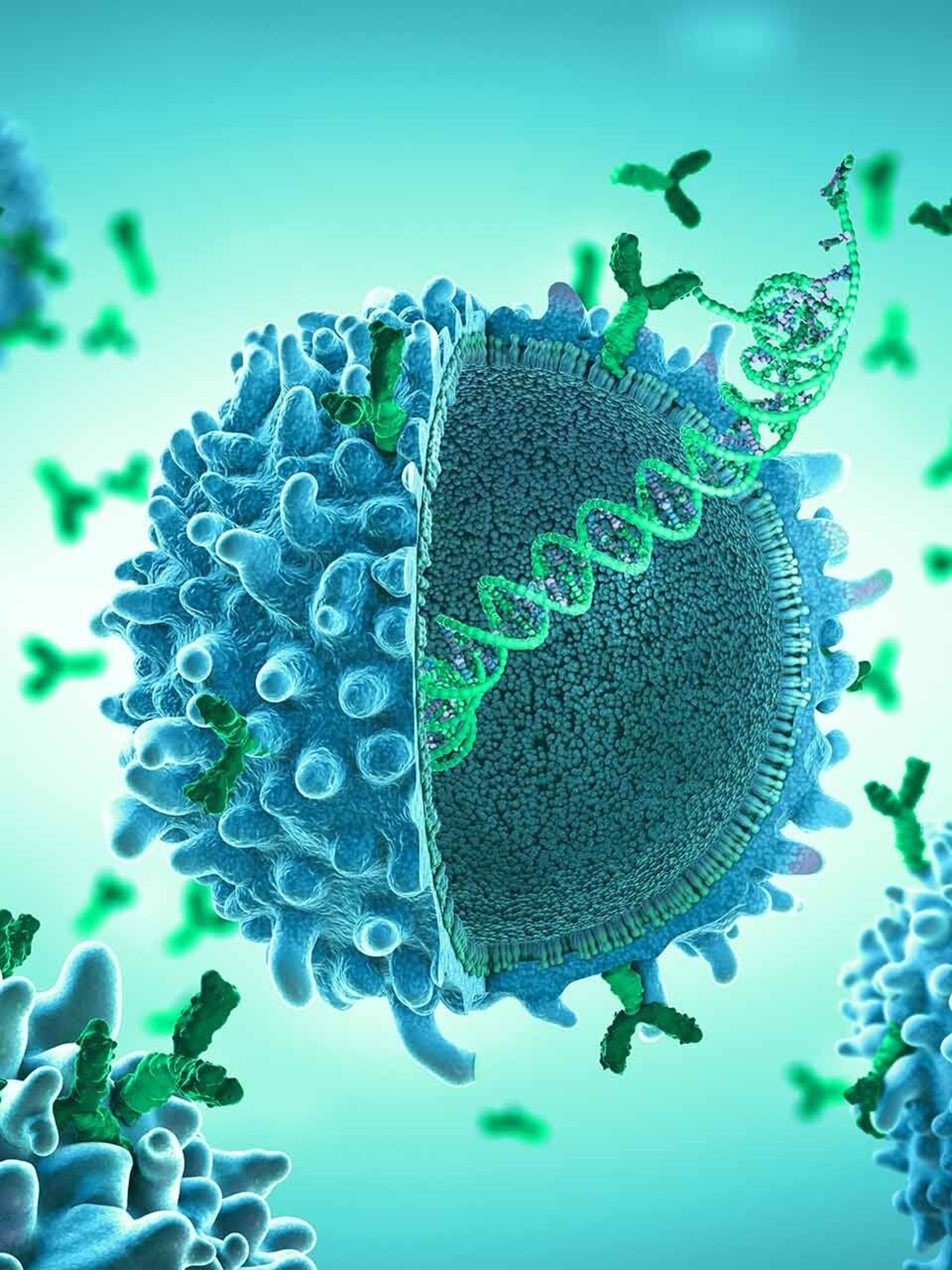 cells