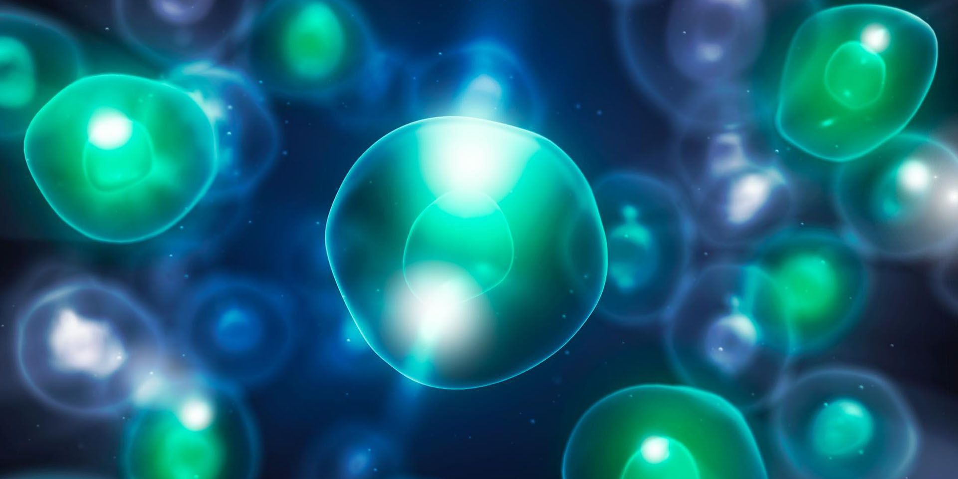 Cells in bioreactor