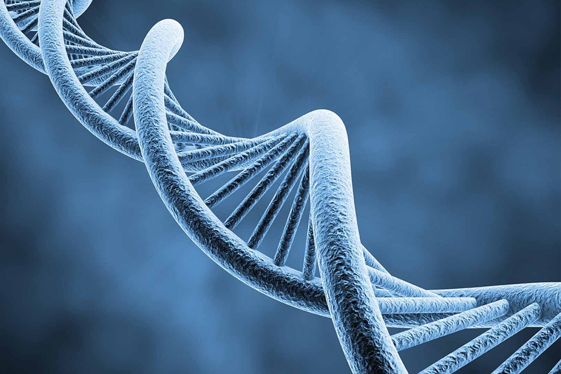 Dna Illustration