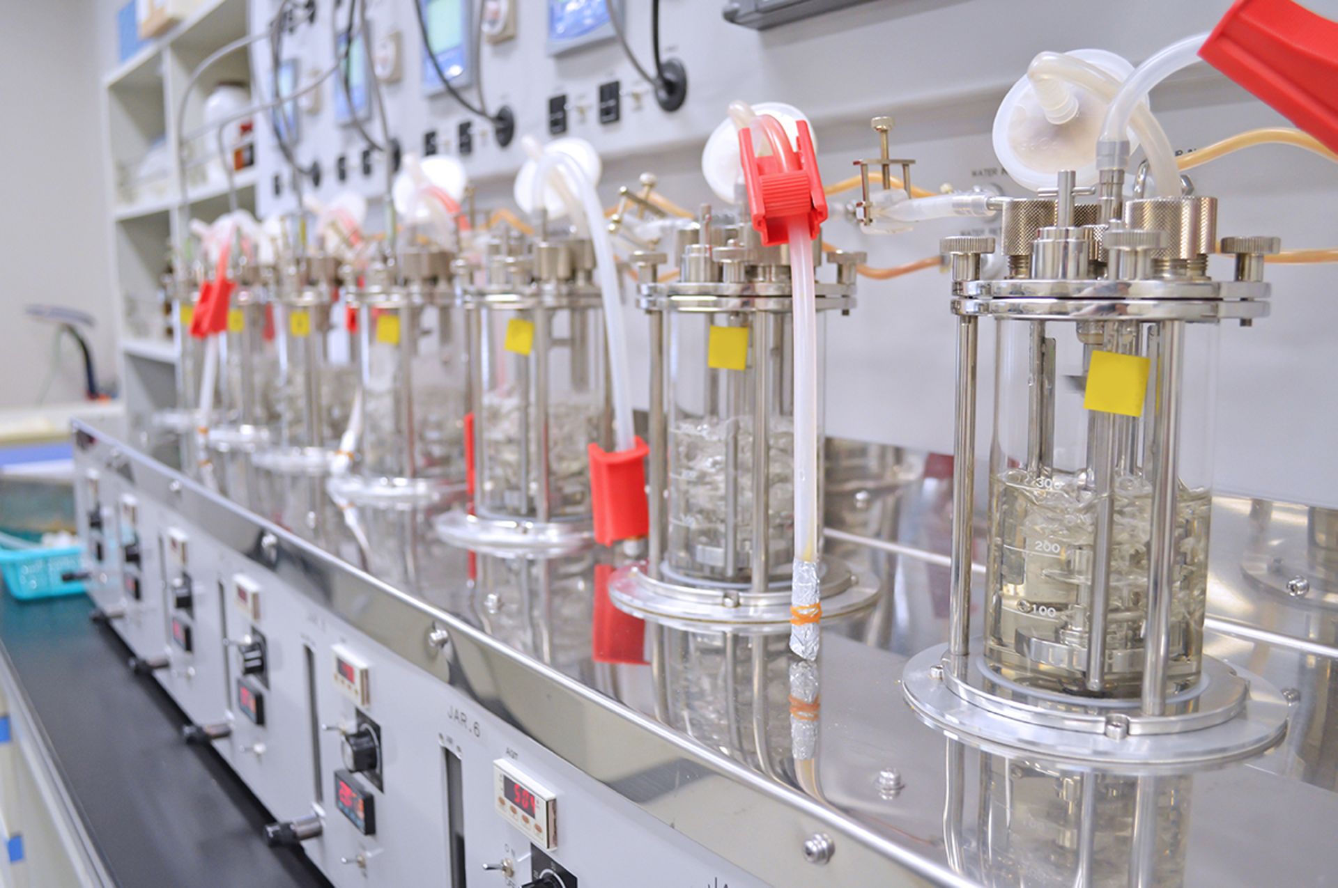 cell culture bioreactors