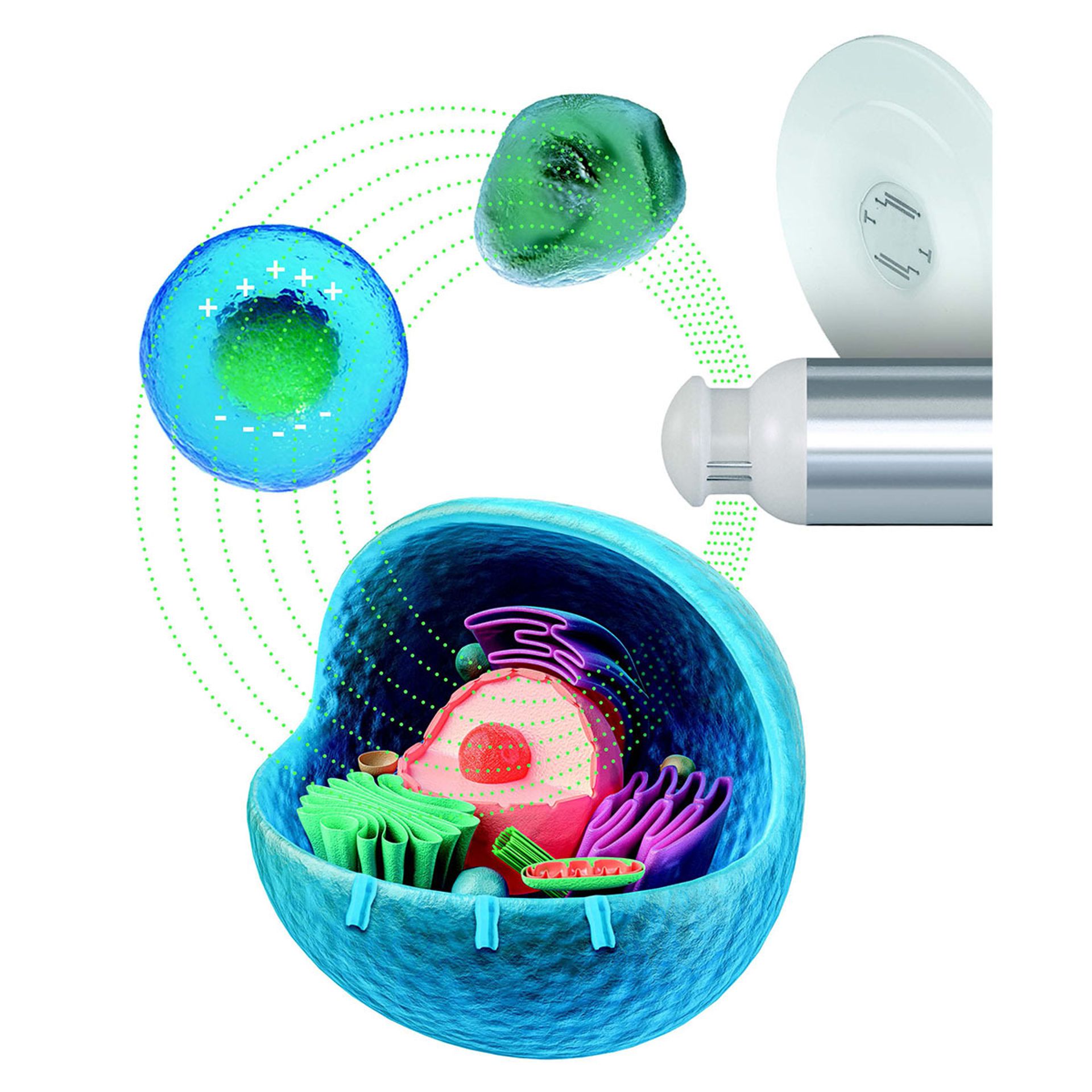 Innovating Medicine Manufacturing cell