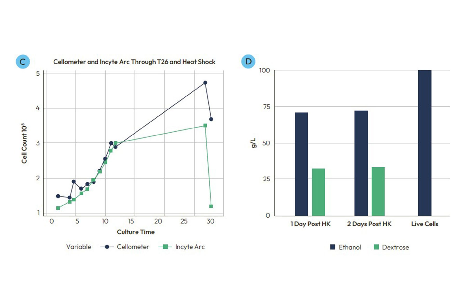 cell counts over culture time