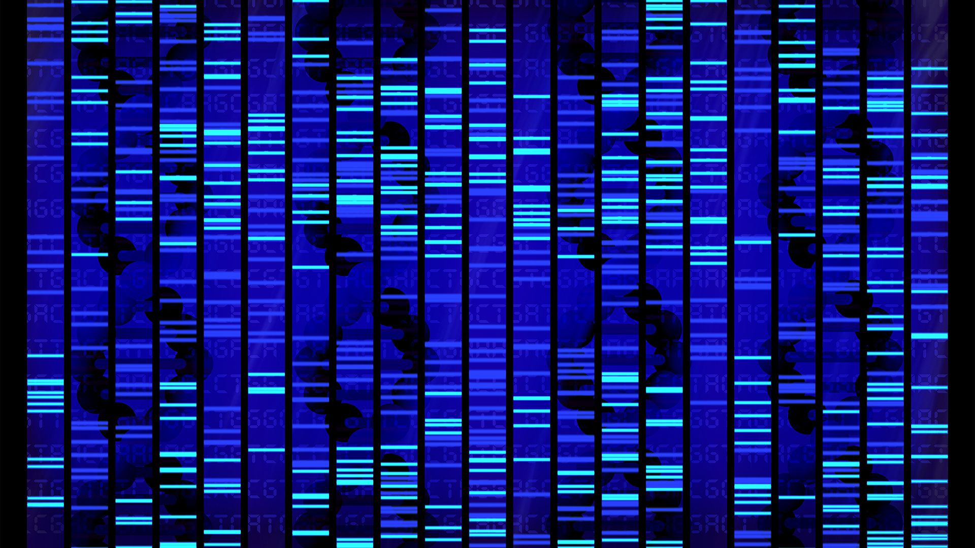 Genome wide studies