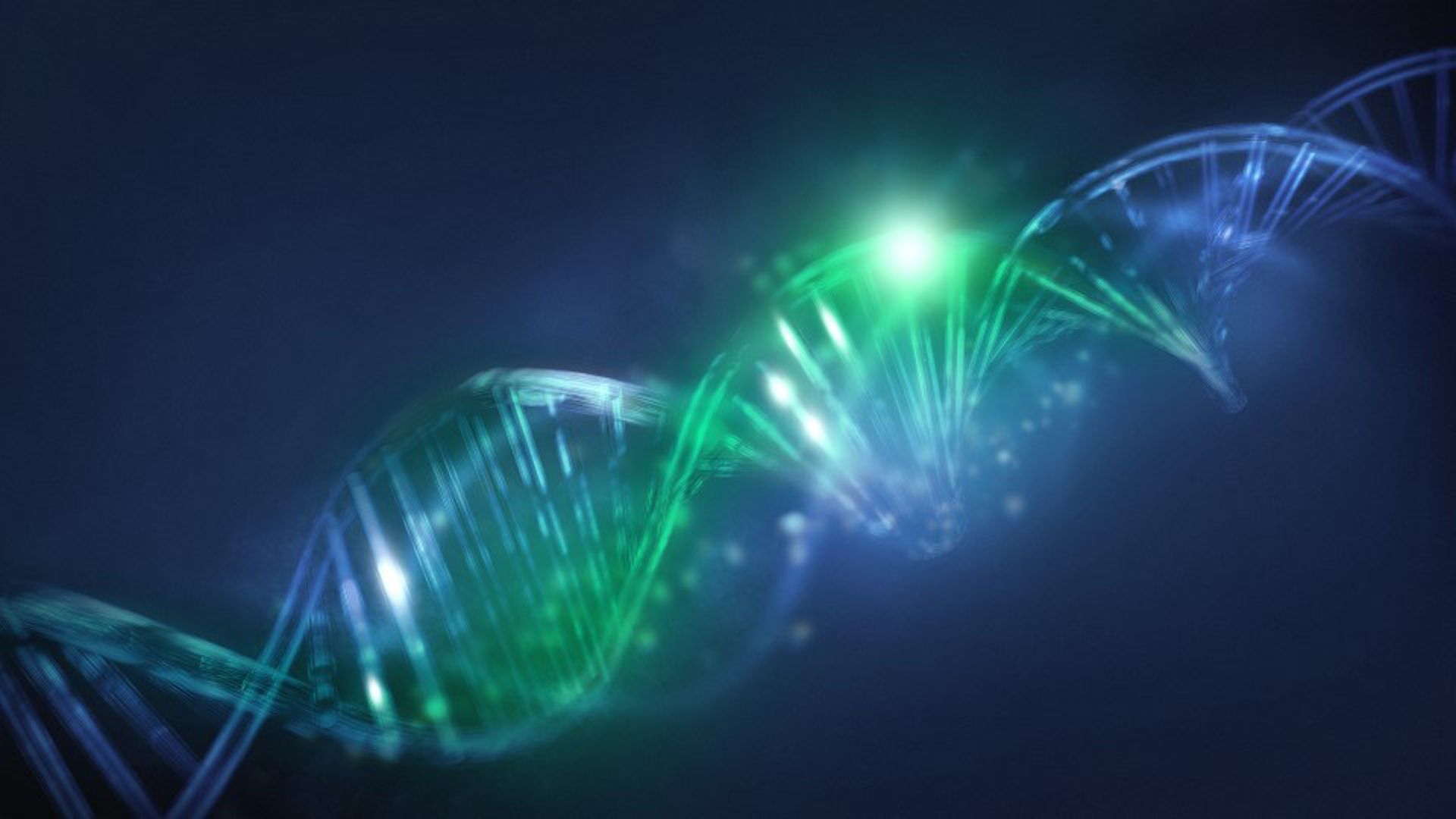DNA