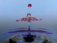 Droplet Coalescence Study