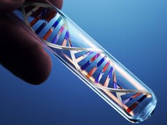 Maximizing Yields Using Fast Protein Liquid Chromatography (FLPC)