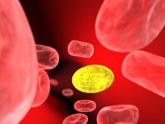Analyzing Mitochondrial Oxidative Capacity and Efficiency in Human Heart Tissue