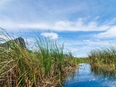 Studying the Biochemistry and Microbiology of Anoxic Sediments and Aquatic Environments