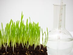 Food Science Research