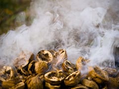 A pile of walnut shells smoldering and releasing smoke - Testimonial Photo