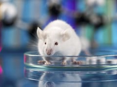 CRISPR-Based Genome Editing for Breast Cancer Research