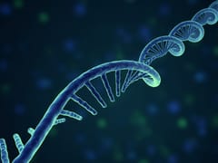 Oligo App Note for Z2 Single Helix