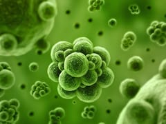 Sustainable Energy and Environmental Applications