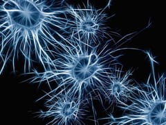 Using Viral Vectors to Research Microcircuits Within Distinct Brain Regions