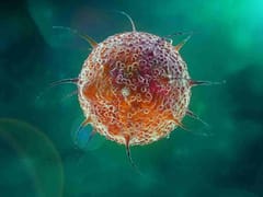 Harnessing the Power of Vaccines Through Strategic Dosing & Vaccination Site Research