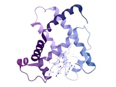 Novel Research on Metalloproteins