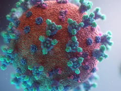 Skin Bacteria on Mosquito-Borne Viruses at the Vector-Host Skin Interface