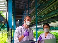 Reproductive Ecology of Plants