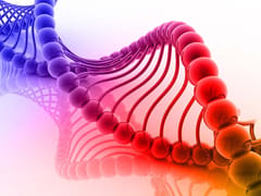 DNA