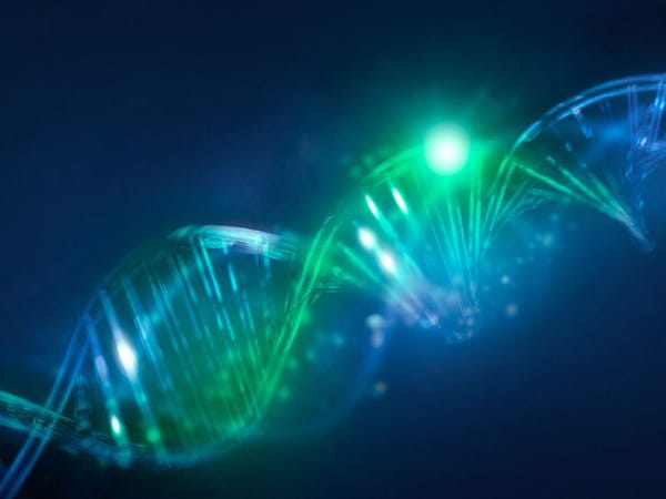 DNA