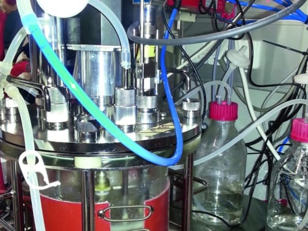 Actively monitoring CHO cell culture