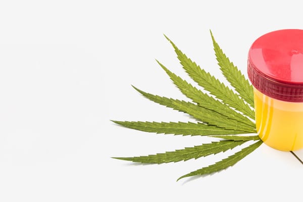 THC Metabolites in Urine
