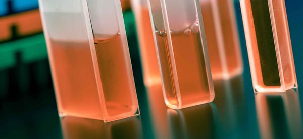 Four square glass cuvettes filled with pale orange liquid arranged in a row on a reflective surface