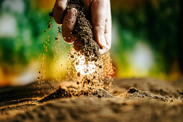 Soil Analysis