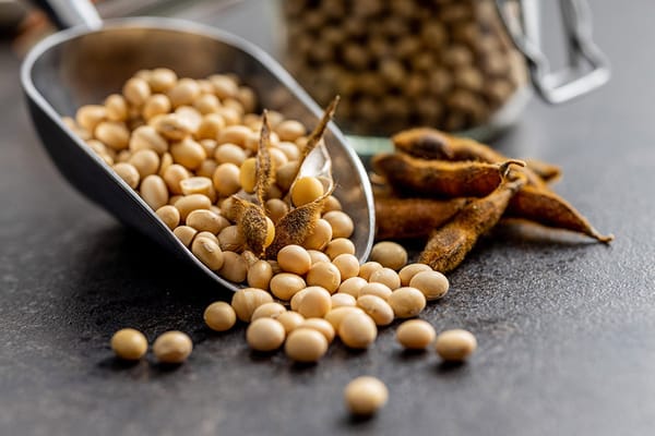 Soy Beans in HPLC