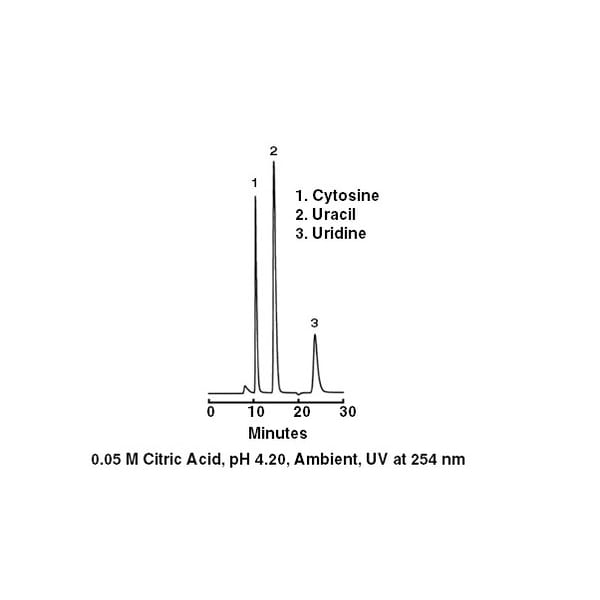 Prp 1 Dna Scaleup 1