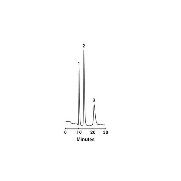 Prp 1 Dna Scaleup 3