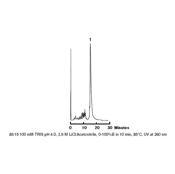 Prp X600 Dmt On Antisense Phosphorothioate 1