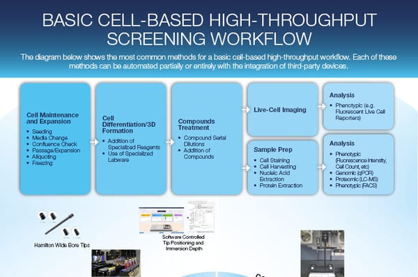 Cell Based HTS 02 TIMG