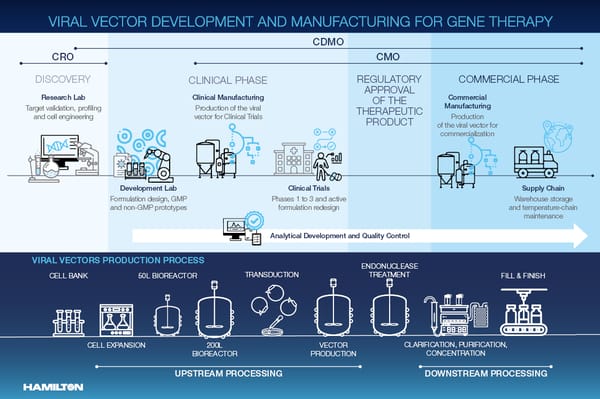 Infographic: Viral Vector Development and Manufacturing for Gene Therapy, showing CRO, CDMO, and CMO phases from discovery through commercial manufacturing, with upstream and downstream viral vector production process steps.