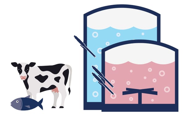 Cell harvesting and media preparation