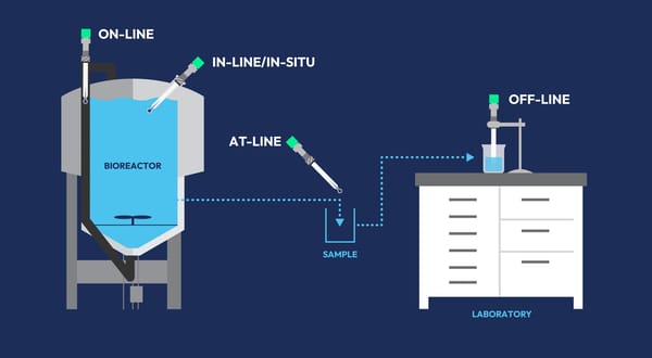 bioprocess monitoring and control diagram