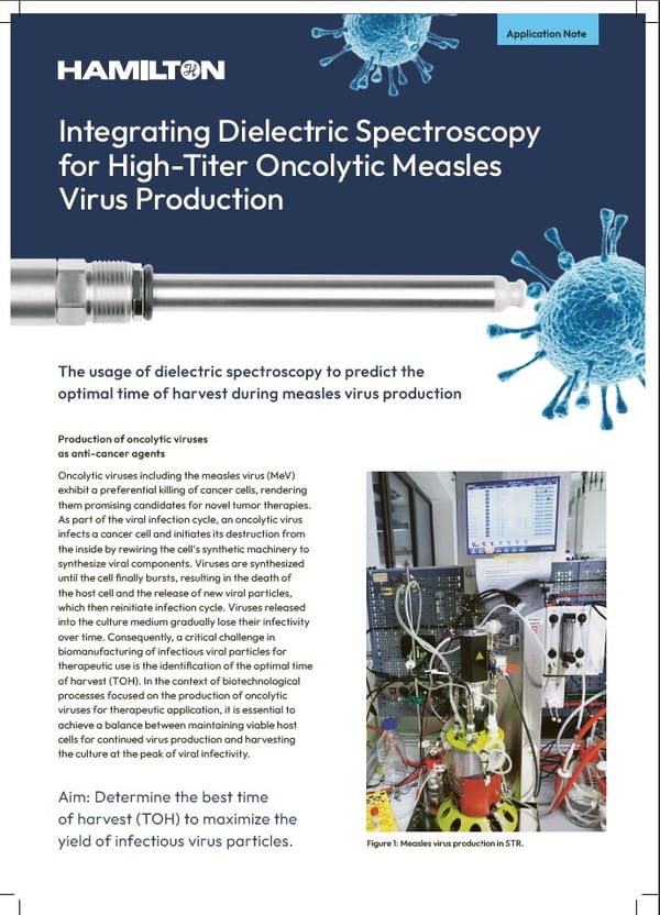 High titer oncolytic measles virus production