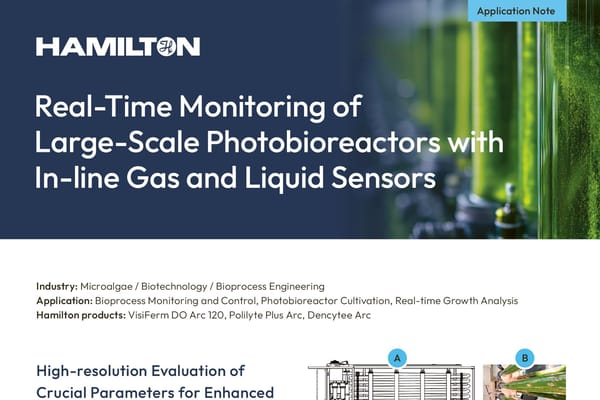 Photobioreactor real time monitoring